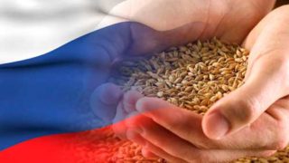 Российское зерно