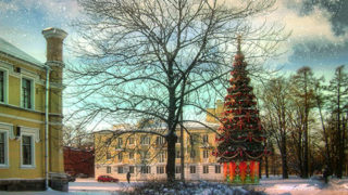 Новогодняя елка в Петергофе
